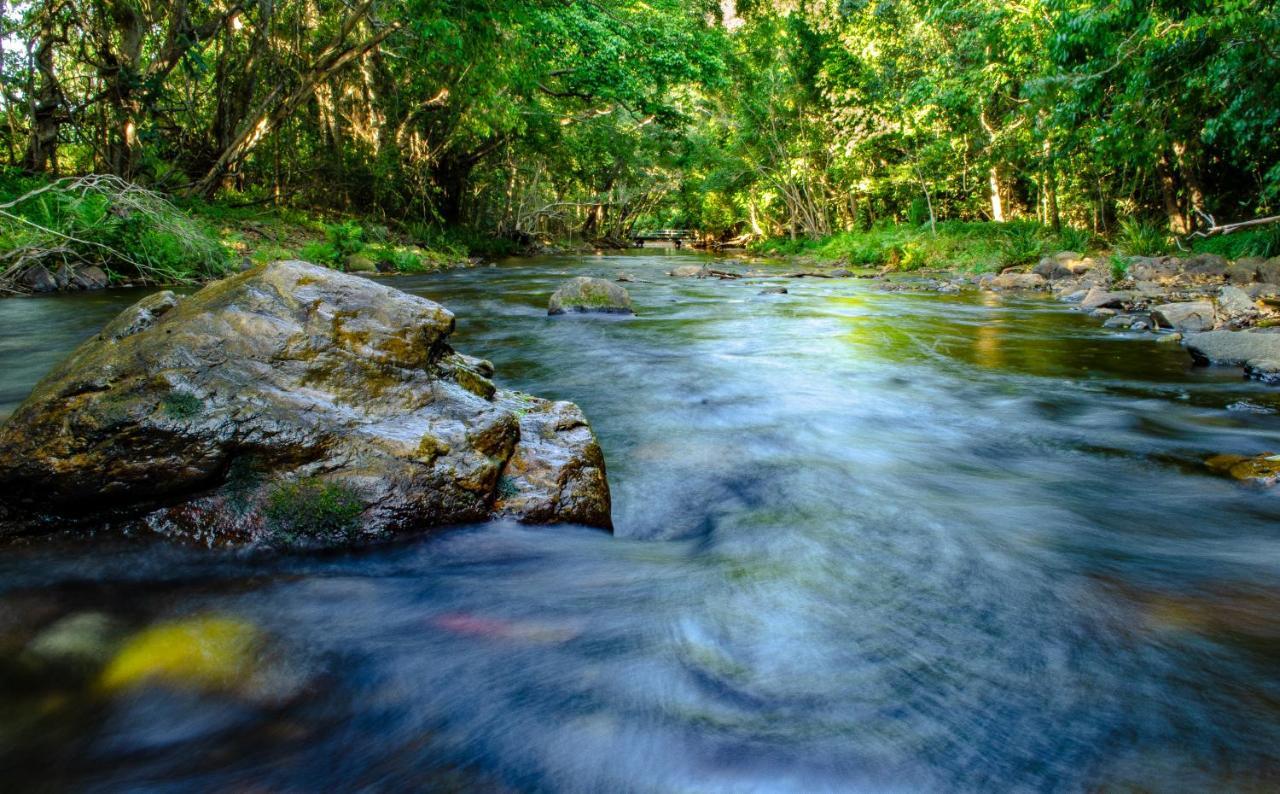 Cairns Homestead Redlynch Pet And Family Friendly Luaran gambar